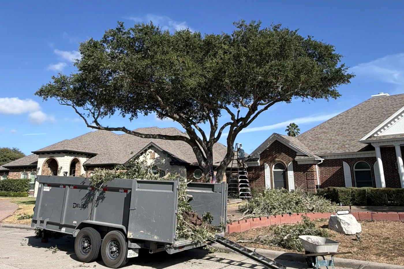 Tree Trimming & Limb Removal