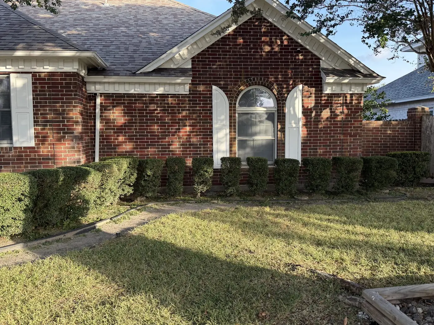 Row of boxwood hedges trimmed square along the front of a brick home